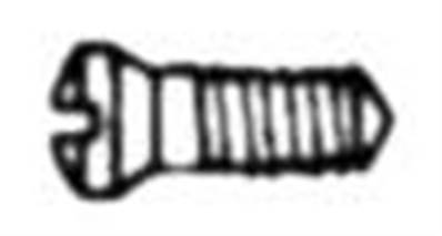 Vis à tenir les charnières Nickelé (1.4*1.9*4.4 mm)